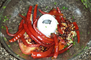 red chilli garlic chutney (2)