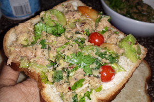 tuna melt sandwich (10)