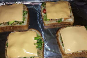 tuna melt sandwich (11)