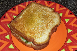 tuna melt sandwich (14)