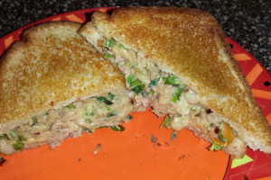 tuna melt sandwich (15)