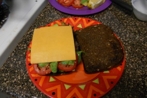 tuna melt sandwich (6)