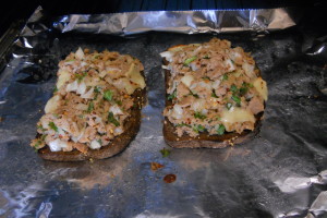 tuna melt sandwich (7)